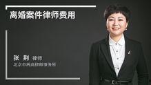 离婚律师爆料案例最新视频